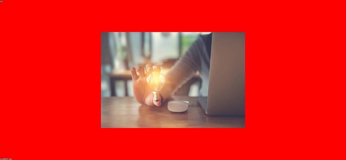 Cara Mengatasi Rasa Takut Gagal saat Memulai Bisnis: Mindset yang Wajib Dipupuk